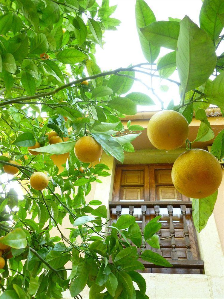 אוביידו Hotel Rural La Balconada מראה חיצוני תמונה